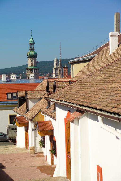 Vinosseum Bor- Es Apartmanhaz Leilighet Sopron Eksteriør bilde